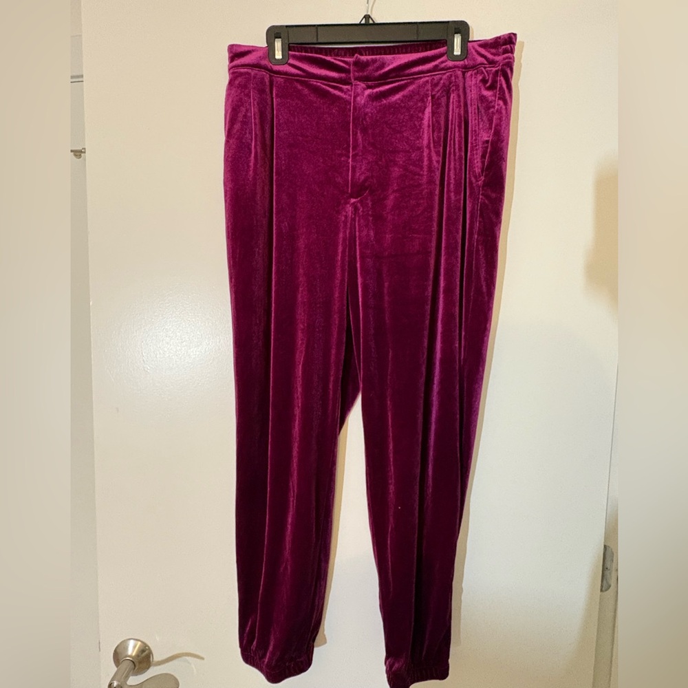 Gap. Deep purple/maroon size 14 velvet pants.